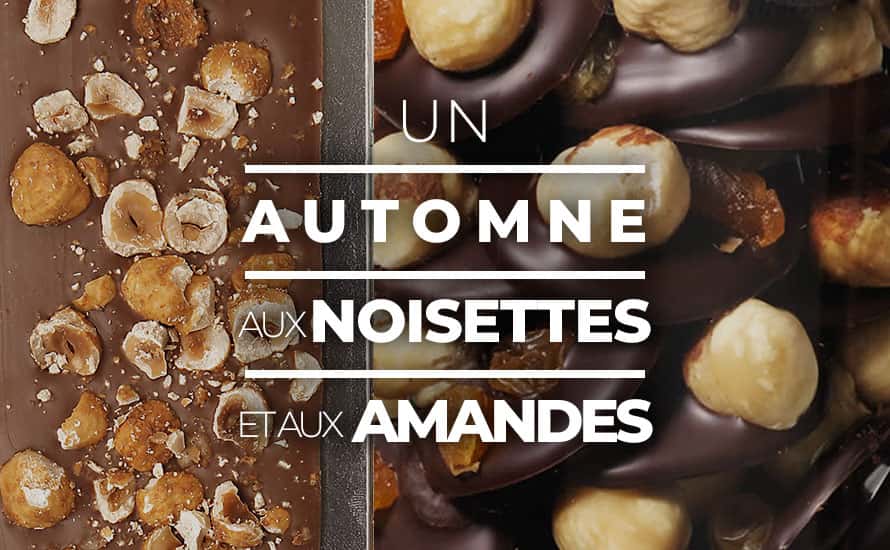 Achetez en ligne 60 excellents chocolats d'Artisan aux Amandes et aux Noisettes