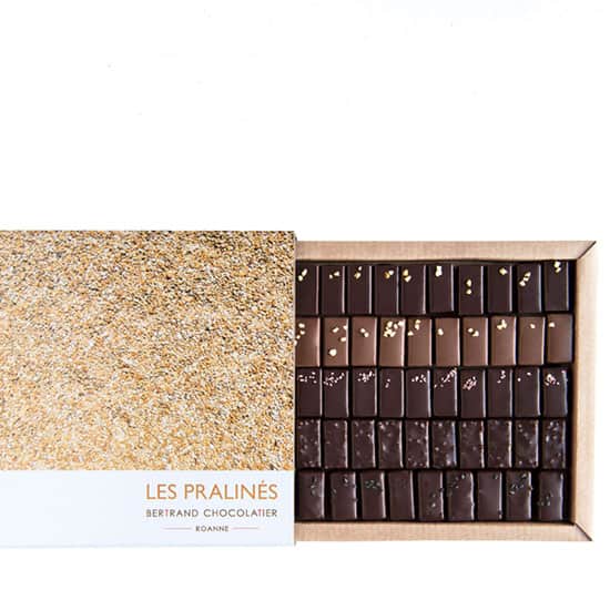 Assortiment Pralinés Noir et Lait