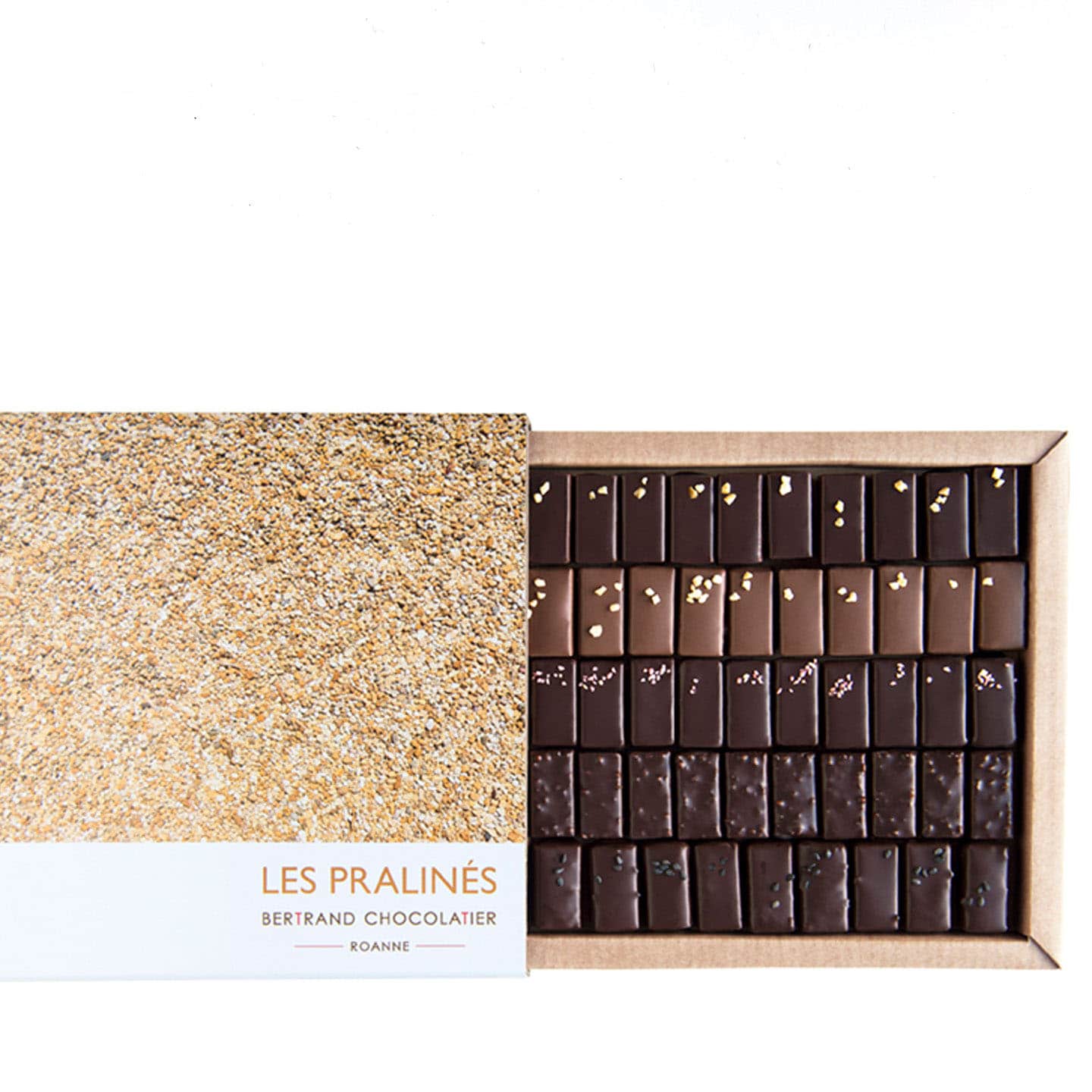 Assortiment Chocolat Pralinés Noir et Lait 400g -50 pièces