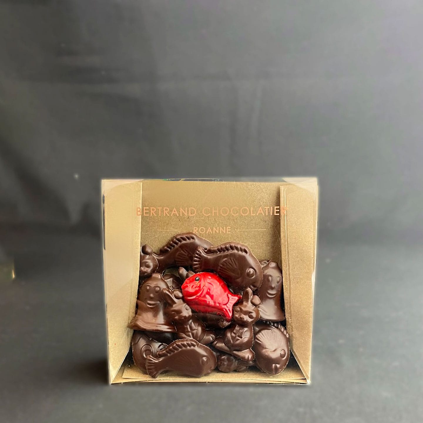 Friture Chocolat Noir Praliné Pâques 100g