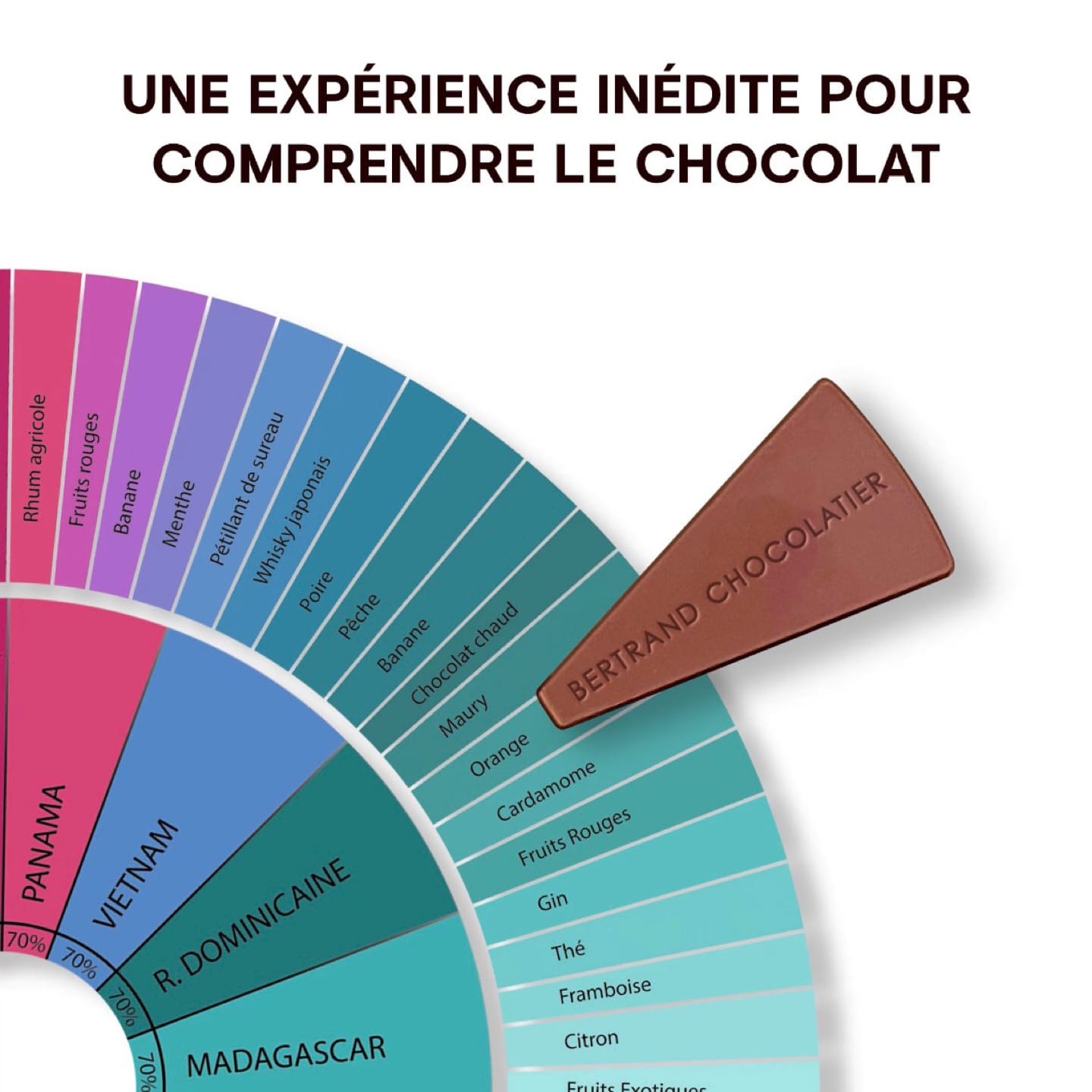 Roue de dégustation Chocolats - 280g