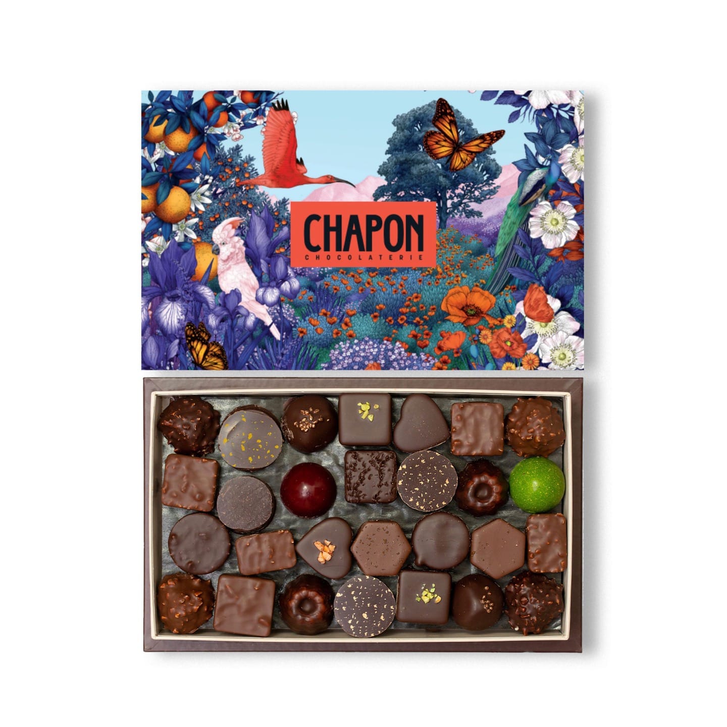 Chapon • Assortiment Chocolats Noir et Lait 600g - 56 pièces