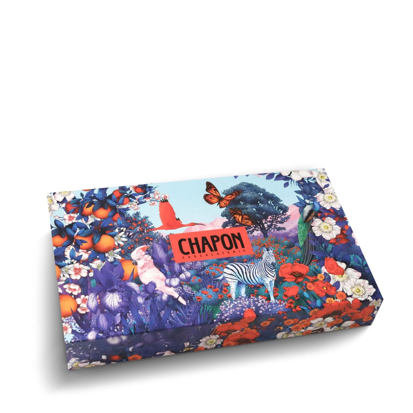 Coffret Chocolat Au Lait Pas Cher En Ligne - Chocalaterie Chapon –  Chocolaterie Chapon