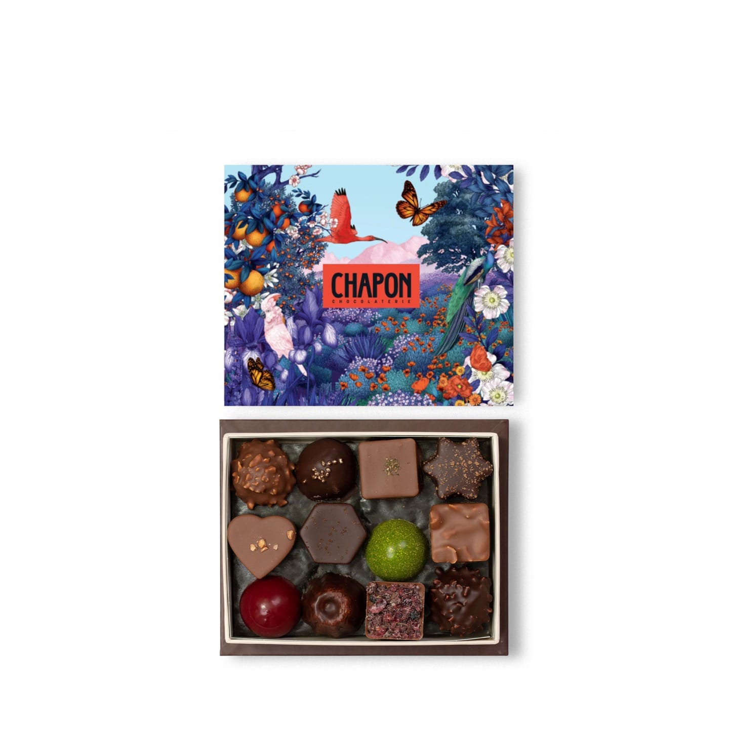 Assortiment Chocolats Noir et Lait 220g - 24 pièces