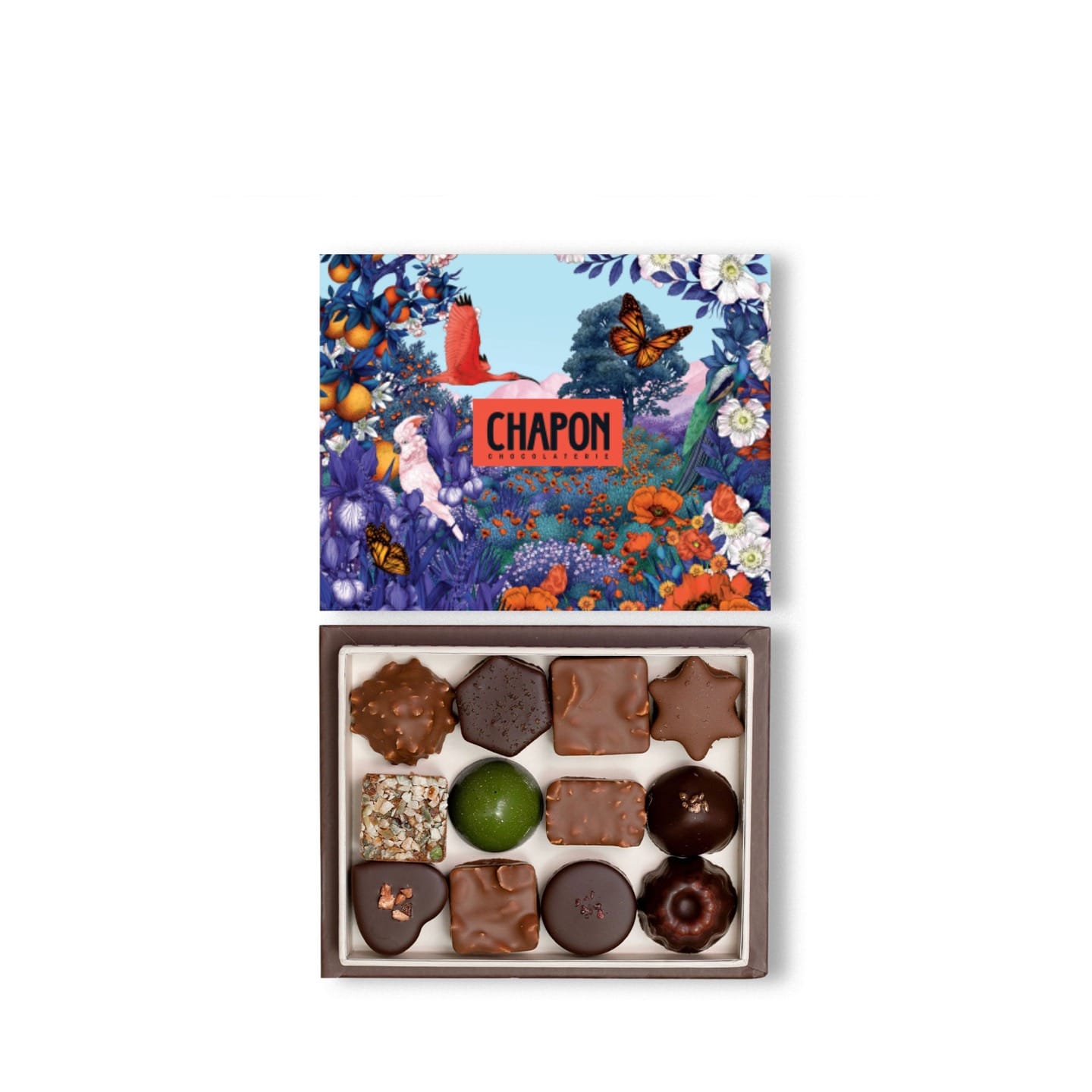 Assortiment Chocolats Noir et Lait 110g - 12 pièces