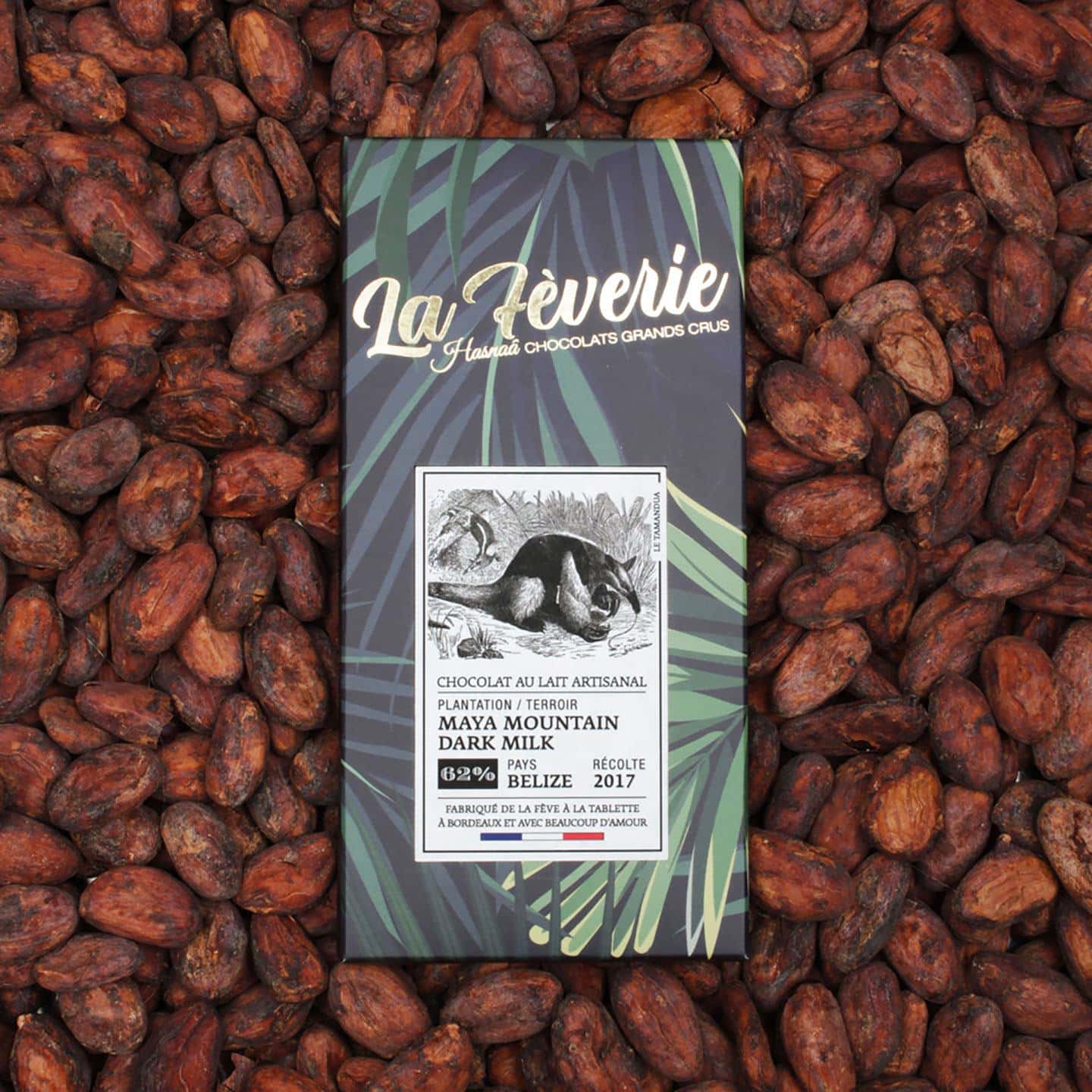 Tablette Chocolat Lait 62% origine Belize 56g