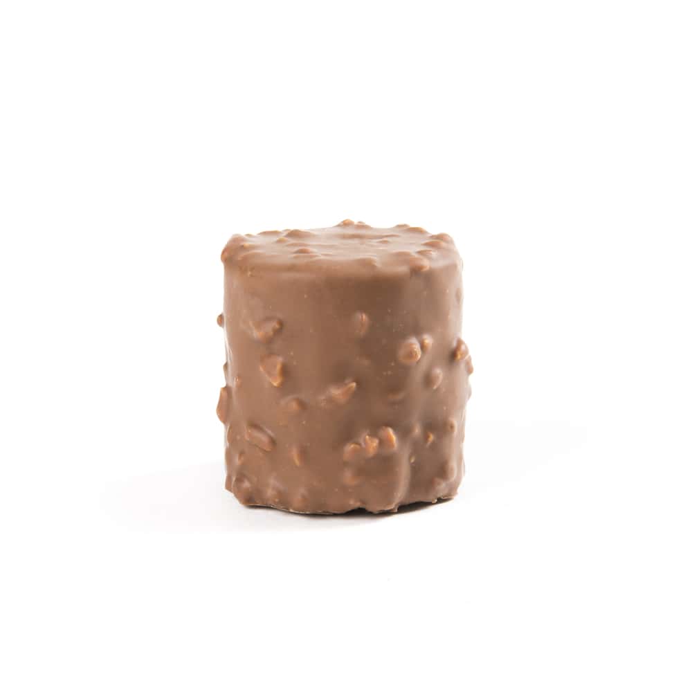 Pralinés Chocolat Lait Noisettes 60g