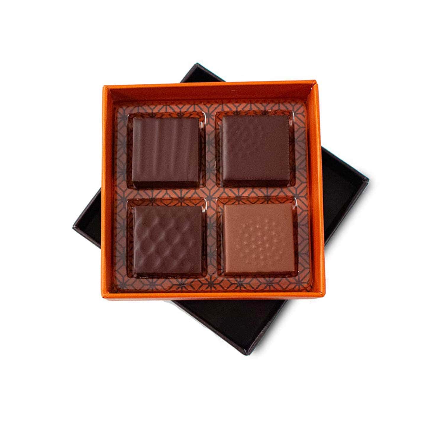 Assortiments Chocolat Ganache Noir et Lait Fruits 30g - 4 pièces