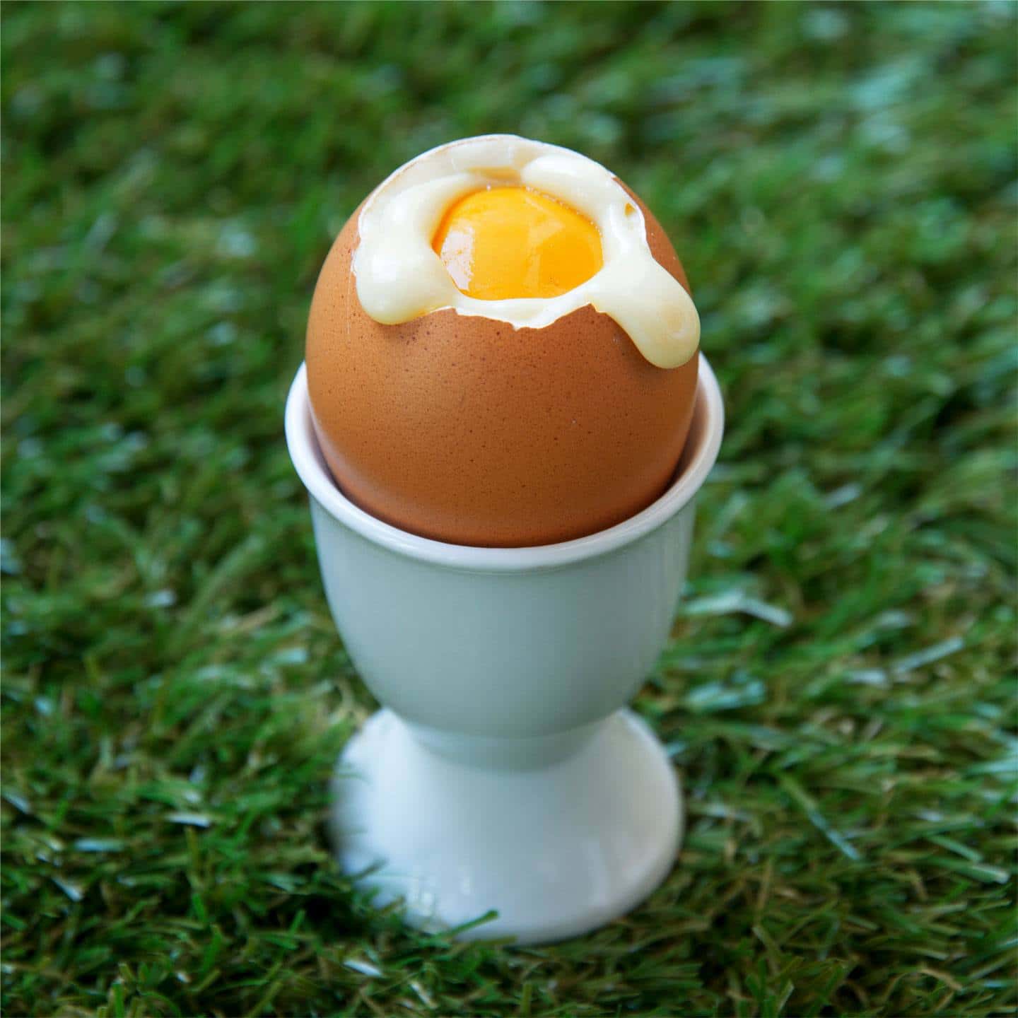 Œuf Chocolat Lait Praliné Noisette