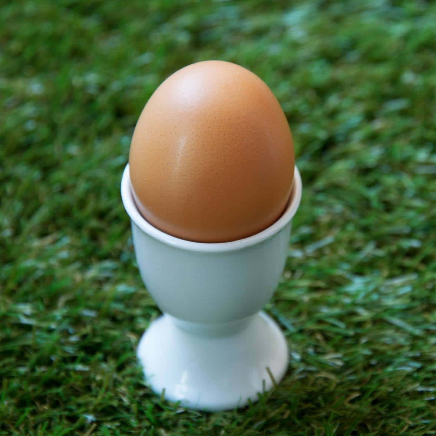 Oeuf Chocolat Lait Praliné Noisette
