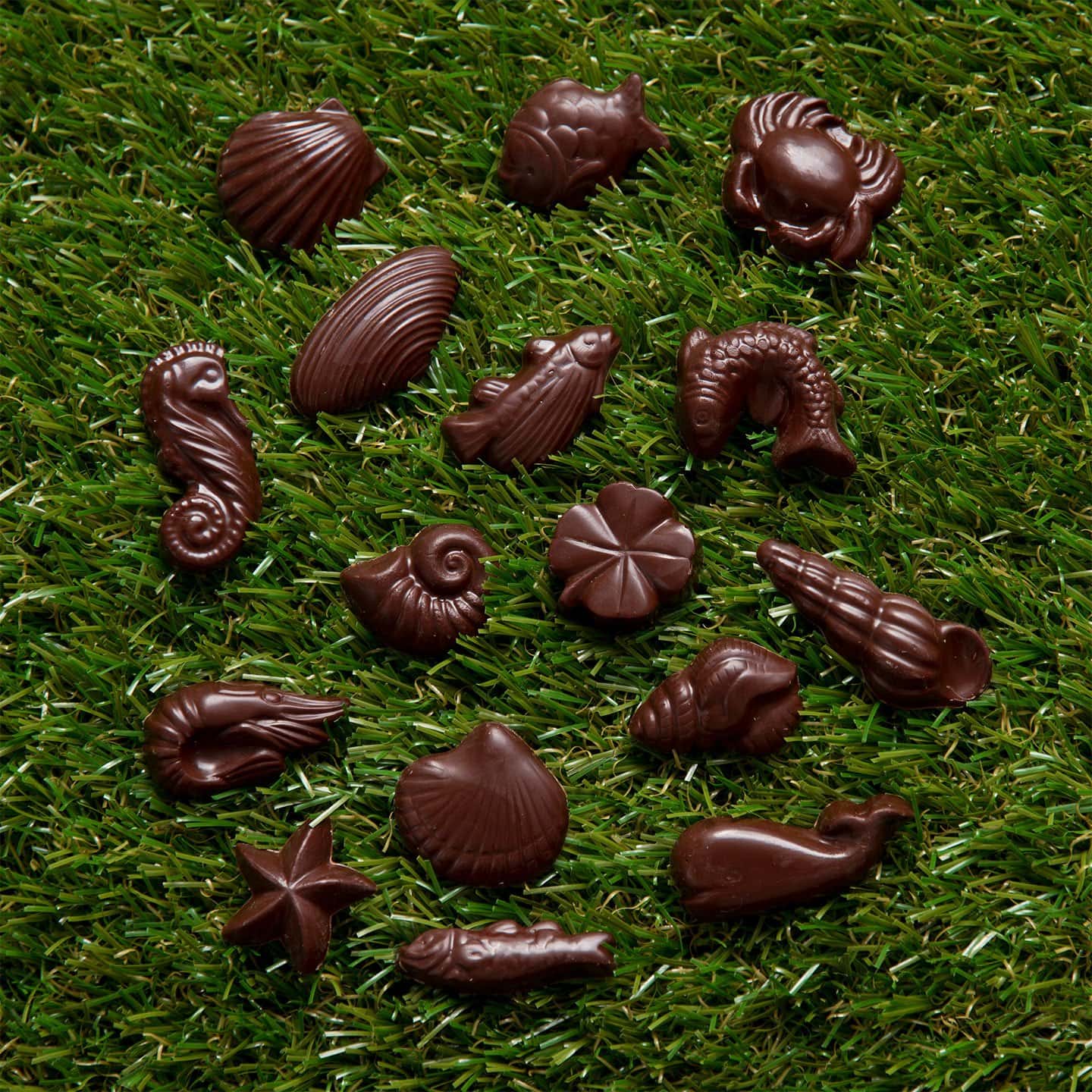 Friture Chocolat Noir Pâques 100g