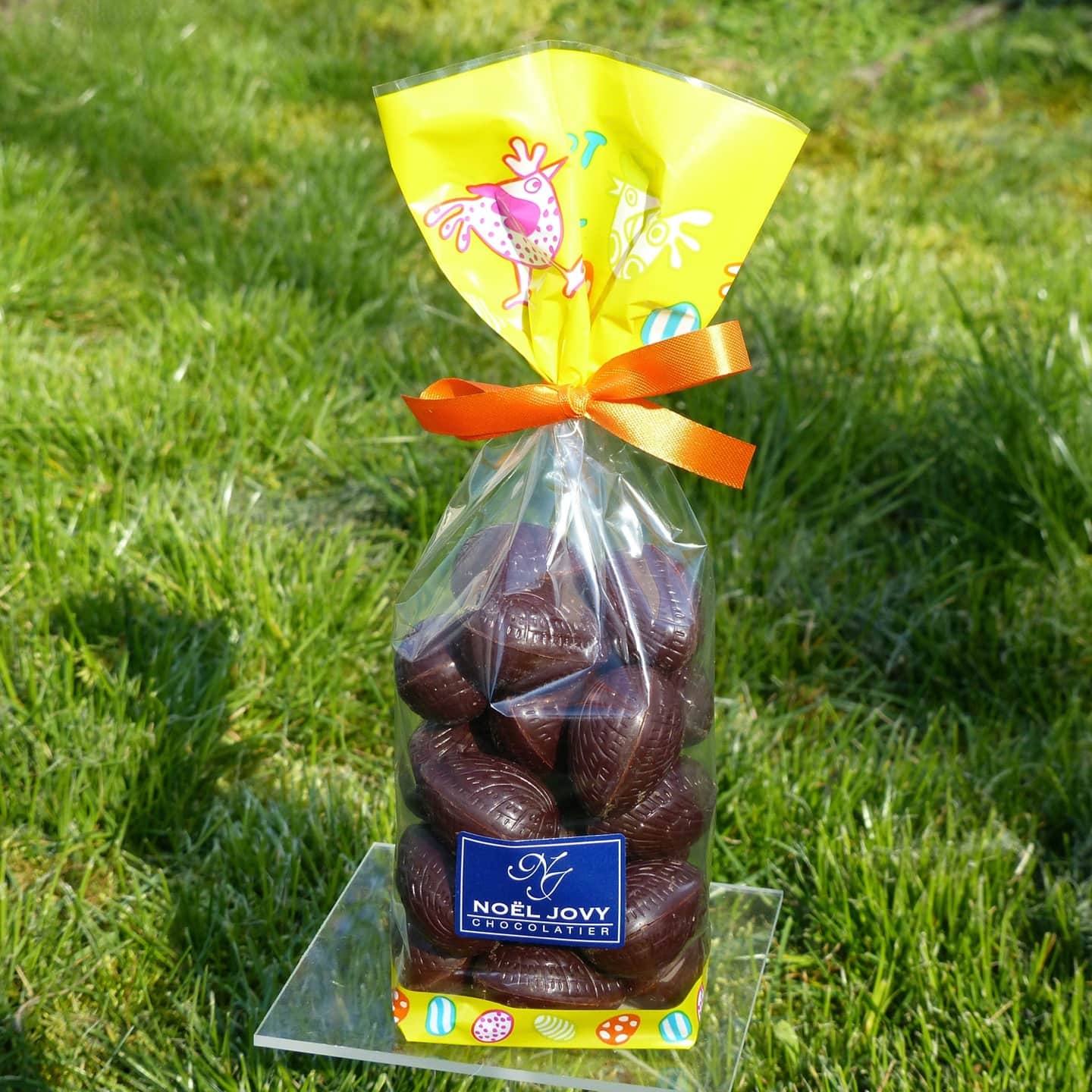 Oeuf Chocolat Noir Praliné Pâques 200g
