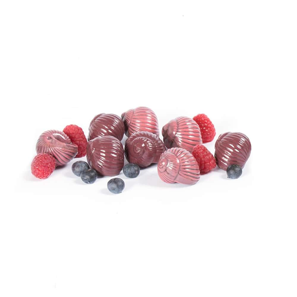 Assortiment Chocolats Ganaches Noir 105g Escargots