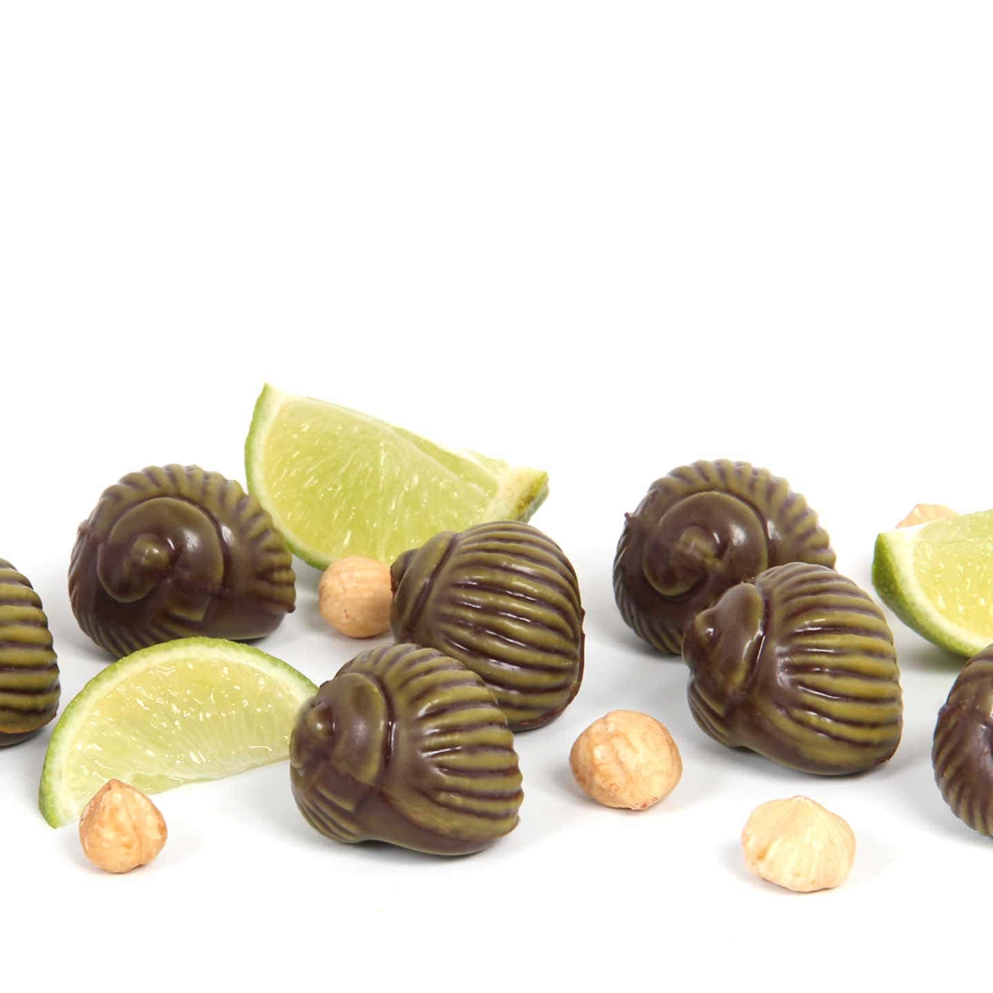 Pralinés Chocolat Noir Noisette Yuzu Citron Vert 115g Escargots