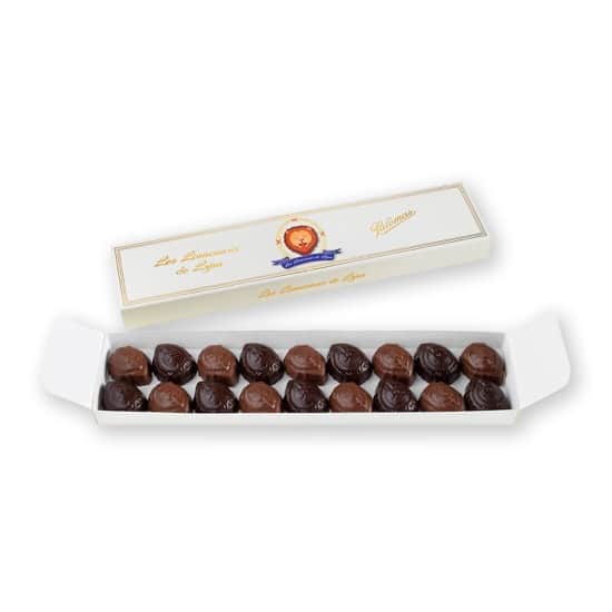 Lionceaux Chocolat Noir et Lait Praliné