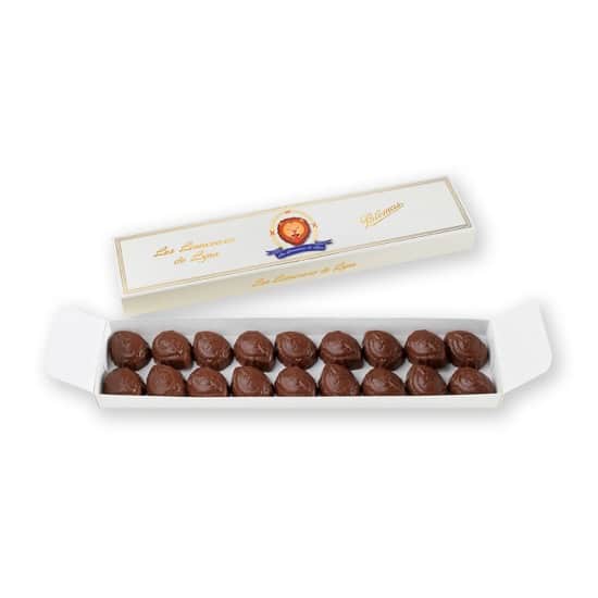 Lionceaux Chocolat Lait Praliné