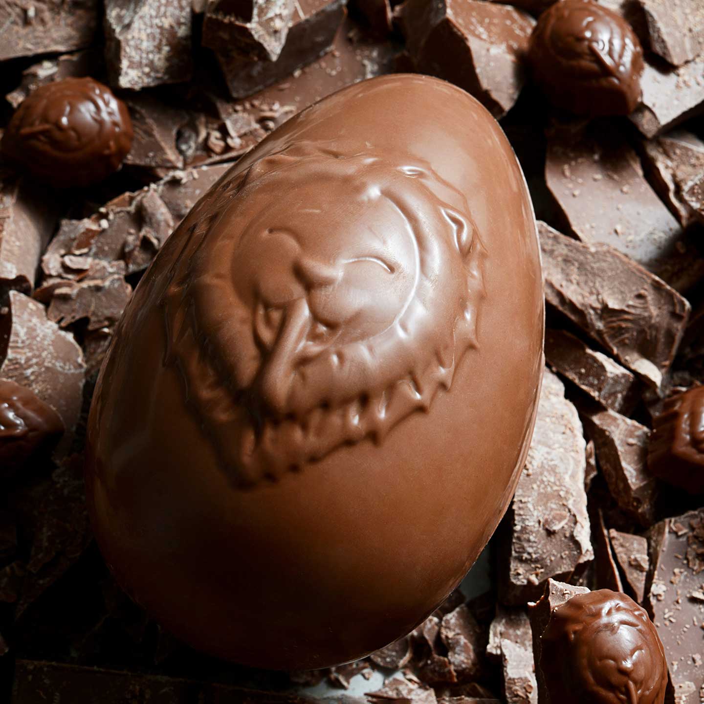 Oeuf Chocolat Lait Garni Fritures Pâques 310g Lion de Lyon