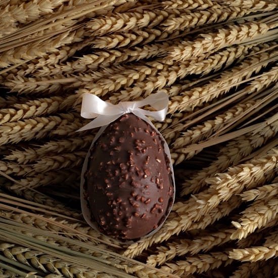 Œuf Chocolat Noir Praliné Pâques