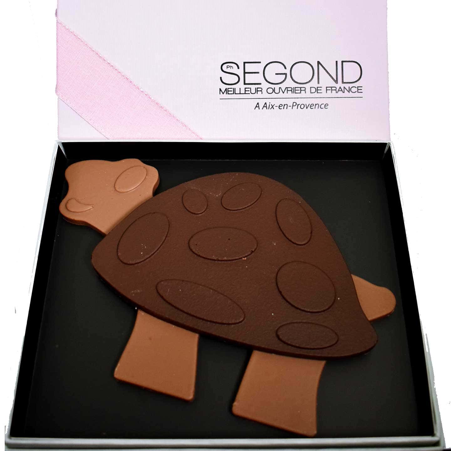 Tortue Chocolat Noir et Lait Pâques 220g