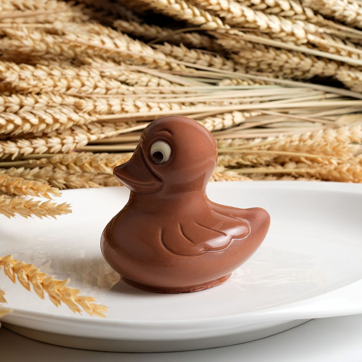 Canard Praliné Chocolat Lait Pâques 130g