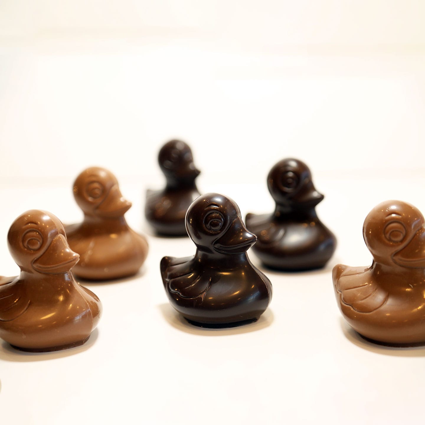 Canard Praliné Chocolat Lait Pâques 130g