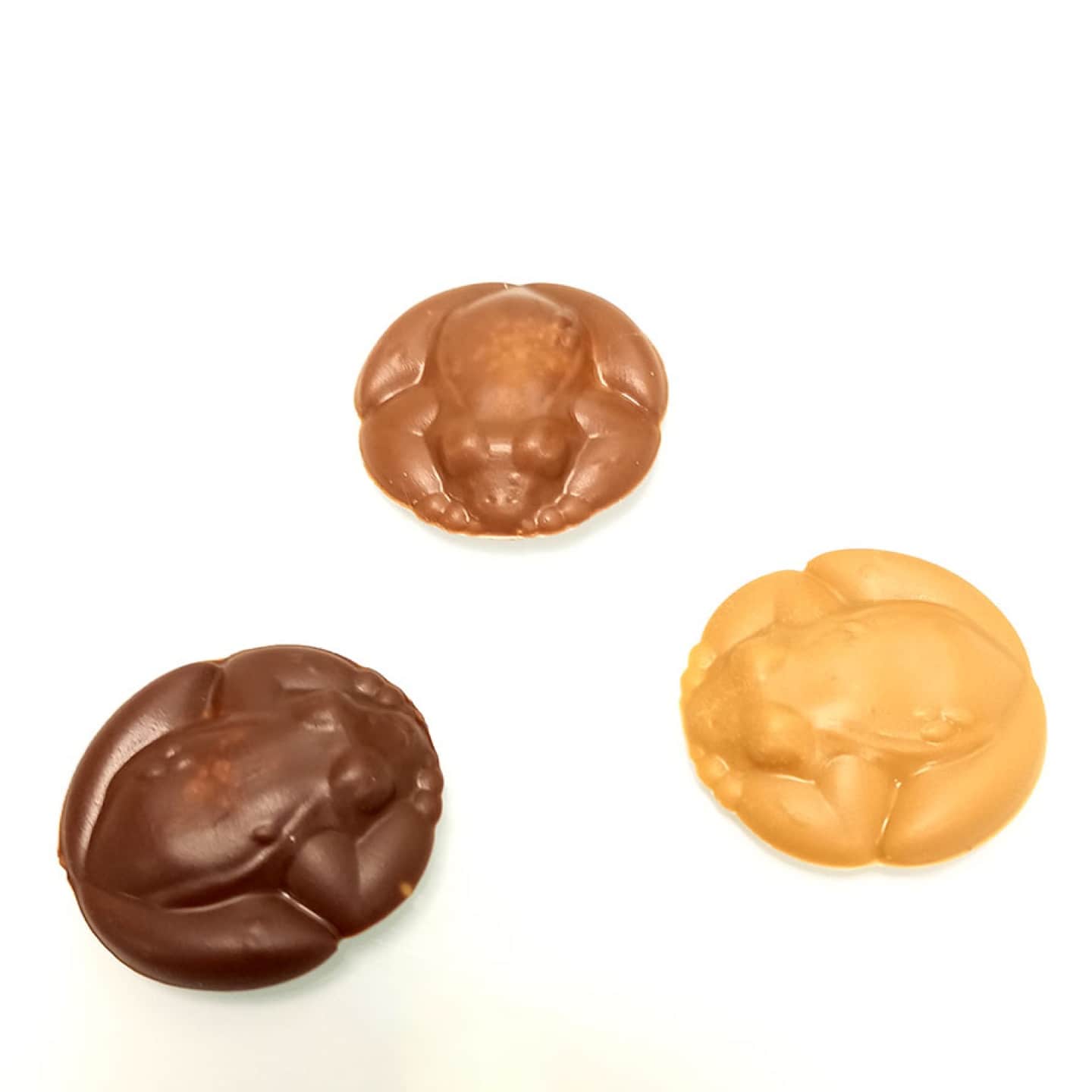 Palets Chocolat Noir, Lait, Blond Praliné Tournesol Pâques 160g Grenouilles de la Dombe
