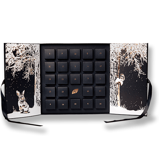 PATRICK AGNELLET - Calendrier de l'Avent 2025