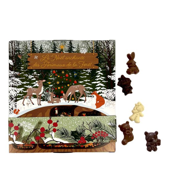 Joël Vilcoq Calendrier de l'Avent Noël enchanté 24 Cases