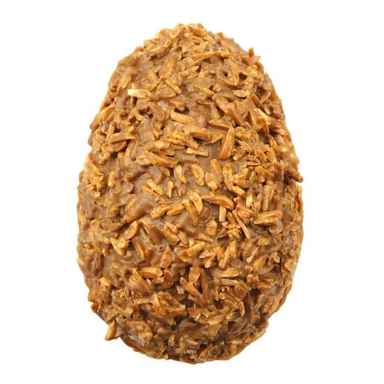 Joël Vilcoq Oeuf de Pâques Chocolat Lait Amandes 450g
