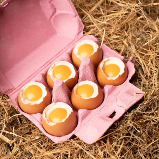 Maison Chaudun Oeufs de Pâques Chocolat Coque Boîte 6 Œufs