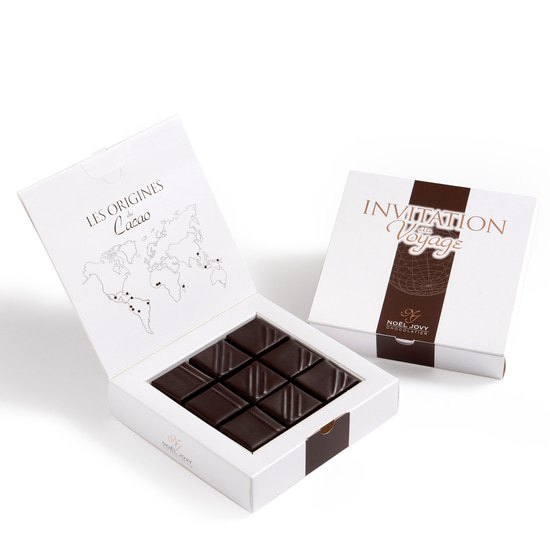 Assortiment Chocolats Noir Ganaches Invitation au Voyage 18 Chocolats