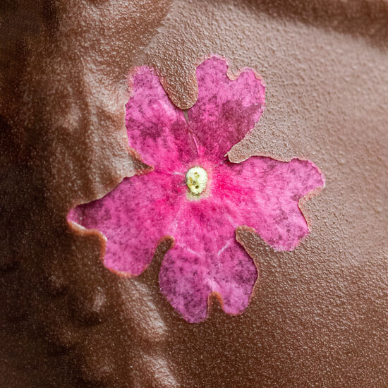 Oeuf de Pâques Chocolat Noir, Garni Paon 15cm + Coffret de Garniture