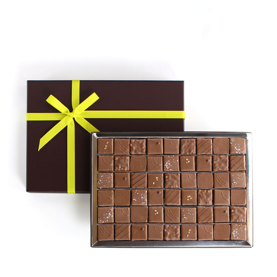 Pascal Le Gac Pralinen Selektion Milchschokolade 54 Stück Pascal Le Gac Pralinen Selektion Milchschokolade 54 Stück