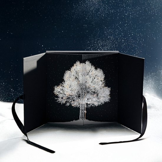 Patrick Agnellet Calendrier de l'Avent Auprès de mon Arbre 24 Cases Patrick Agnellet Calendrier de l'Avent Auprès de mon Arbre 24 Cases