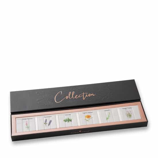 Pralinen Selektion Dunkel Schokolade mit aromatischen Kräutern 150g Pralinen Selektion Dunkel Schokolade mit aromatischen Kräutern 150g