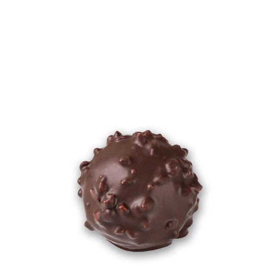 Patrick Agnellet Praliné-Schokoladenrocher Dunkel Haselnüsse 1 Rocher