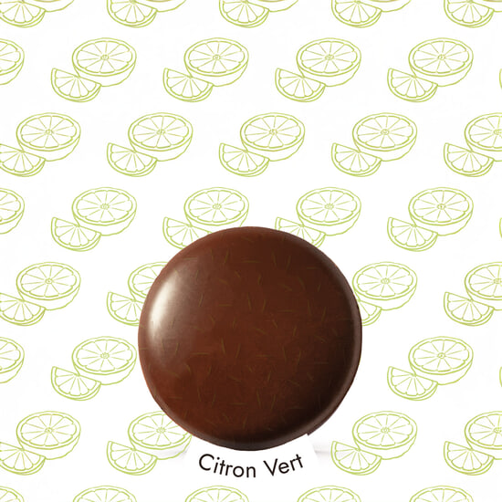 Scheiben - Dunkel & Milchschokolade, Ganaches Zitrusfrüchte Flucht 24 Stück