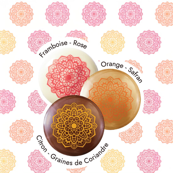 Palets Chocolat Noir & Lait Ganaches Épices Evasion 24 Palets Palets Chocolat Noir & Lait Ganaches Épices Evasion 24 Palets