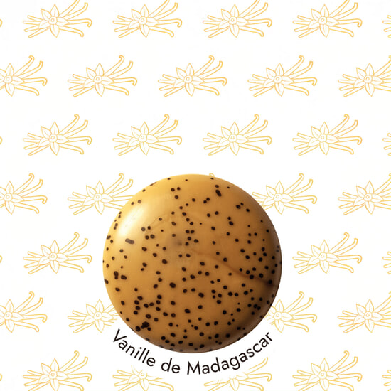 Palets Chocolat Noir & Lait Ganaches Vanilles Evasion 24 Palets