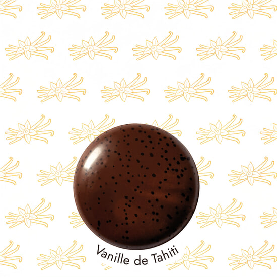 Palets Chocolat Noir & Lait Ganaches Vanilles Evasion 24 Palets