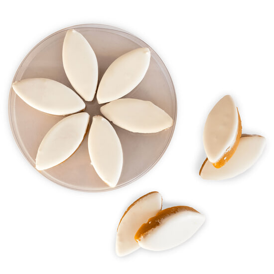 Calissons 6 Calissons Calissons 6 Calissons