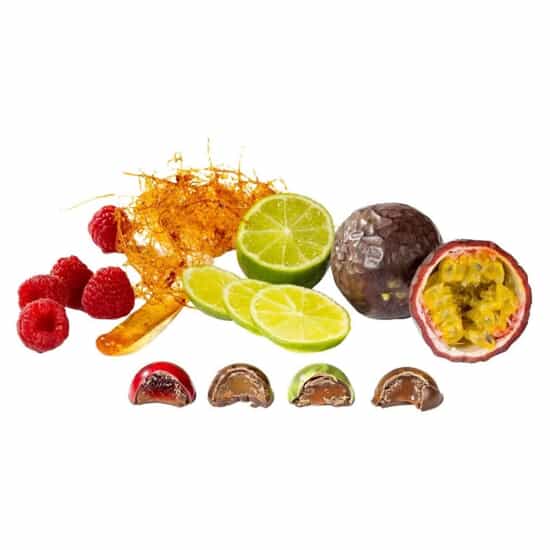 Schokoladendom-Mischung Dunkel & Milchschokolade 16 Dômes Schokoladendom-Mischung Dunkel & Milchschokolade 16 Dômes