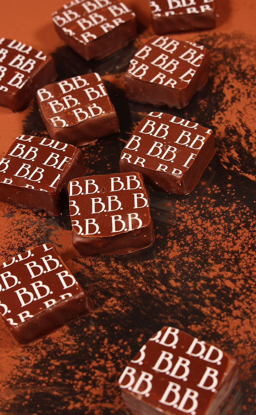 Photo Chocolaterie Glacier Borzeix Besse