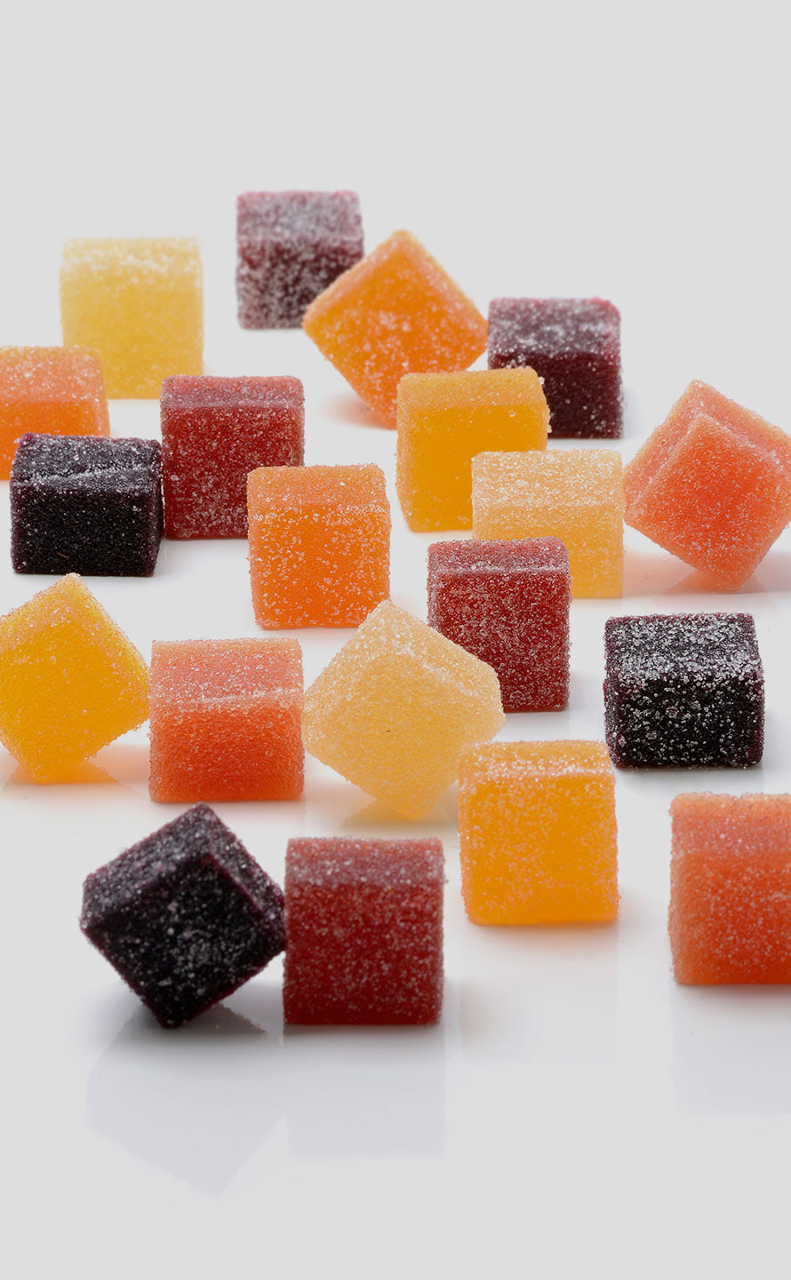 Photo Chocolaterie Glacier Noël Jovy