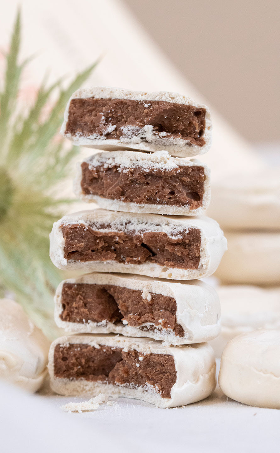 Photo Palets de Fourvière Palomas Photo Palets de Fourvière Palomas