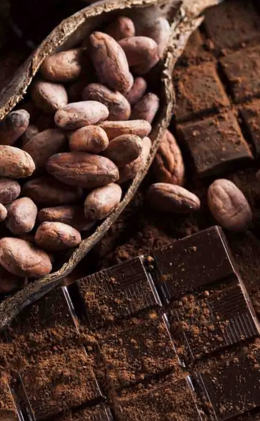 Photo Chocolats Patrick Agnellet