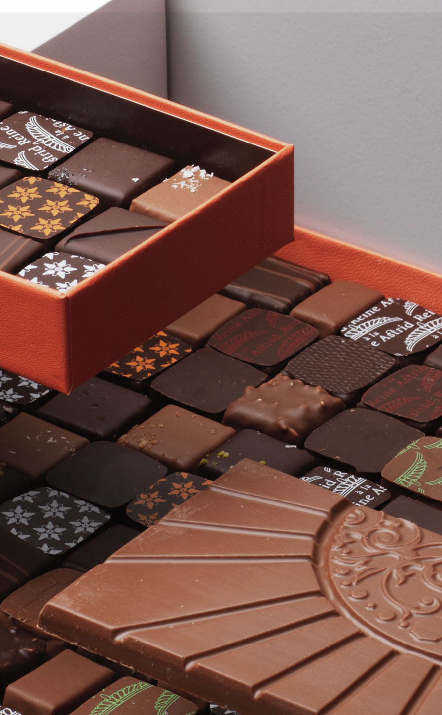 Photo Ambiance Reine Astrid Photo Ambiance Reine Astrid