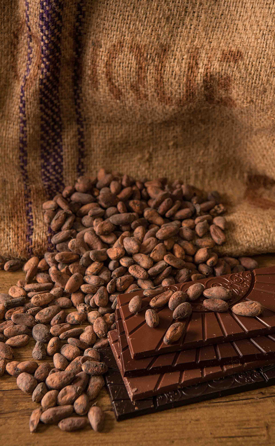 Photo fèves cacao Reine Astrid Photo fèves cacao Reine Astrid