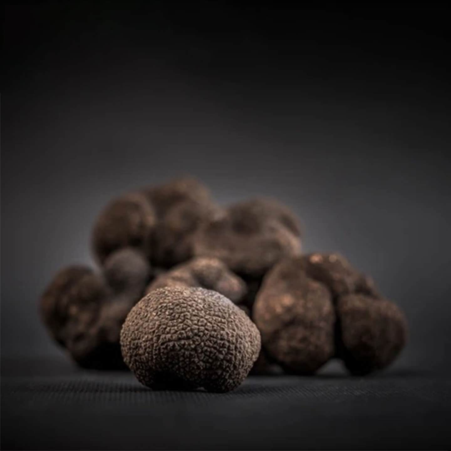 Truffe Chocolat Noir Truffe 95g - 25 pièces Pavé